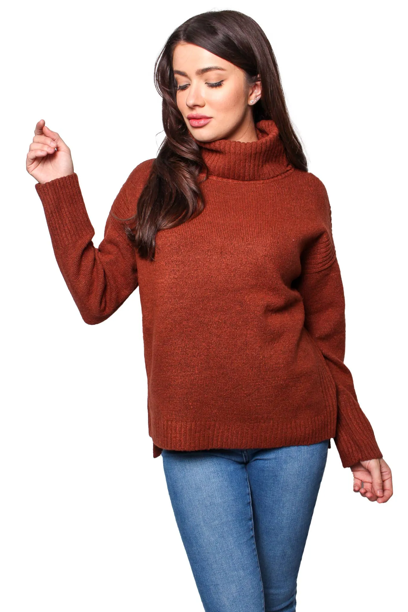 Henna Long Sleeves Cowl Neck Knitted Pullover Sweater