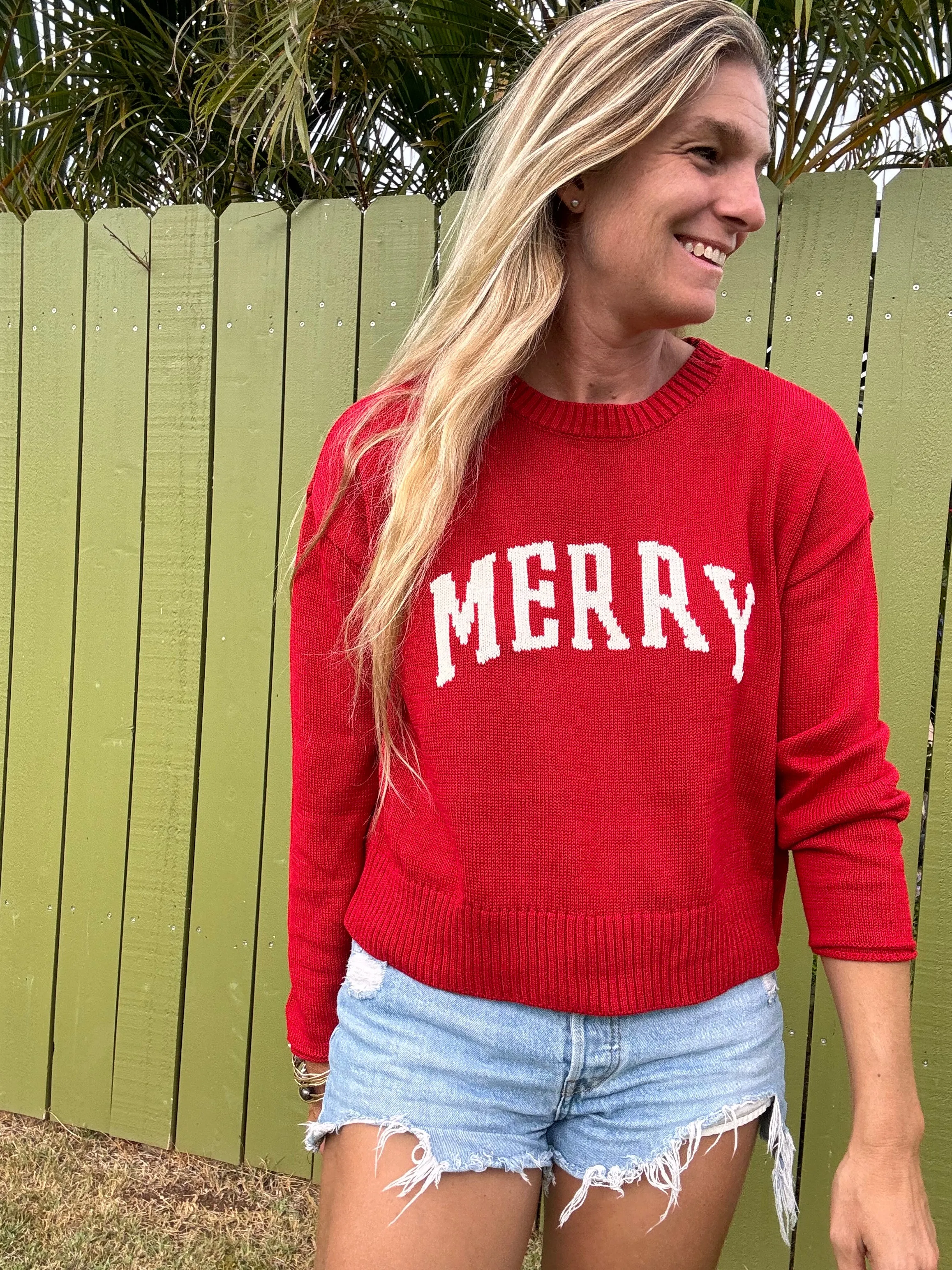 ZSUPPLY Sienna Merry sweater